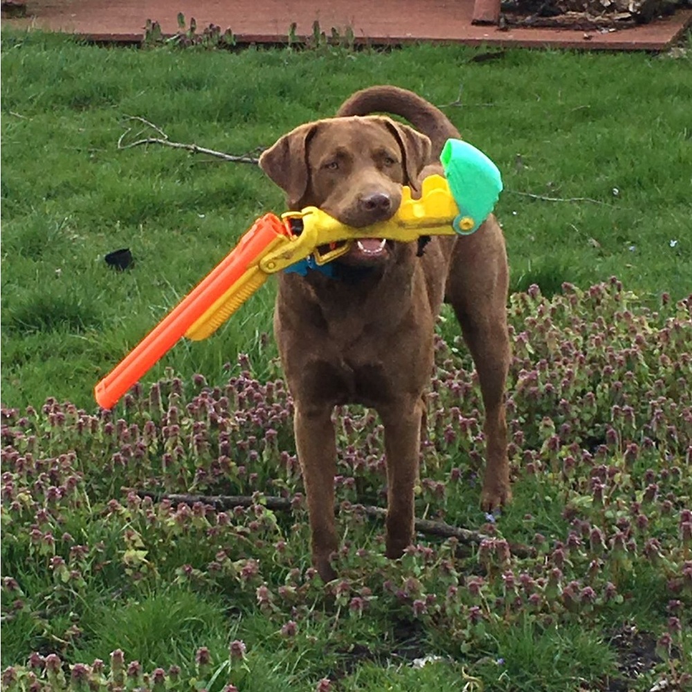 Meet your Posher, Alexah